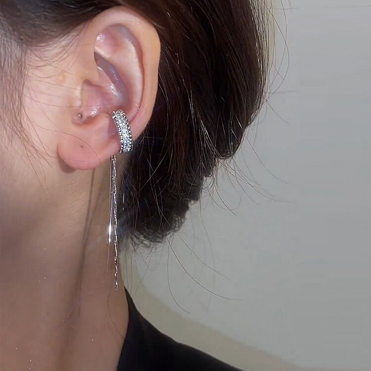 45624 Korean Unique Luxury Silver Earring